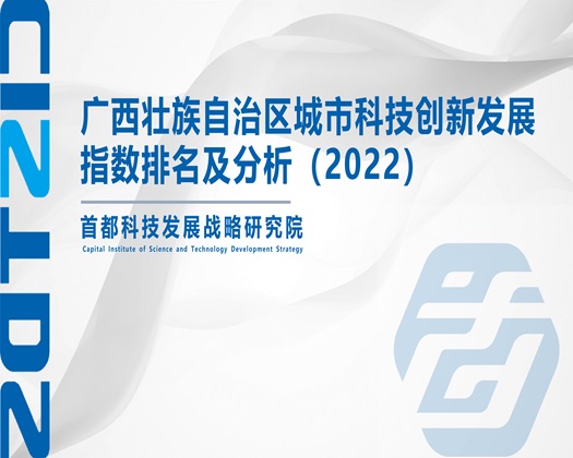 被操舒服了视频【成果发布】广西壮族自治区城市科技创新发展指数排名及分析（2022）